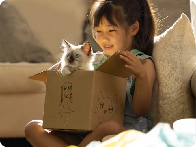 A kitten pops its head out of a cardboard box held by a young girl | NEXGARD® Parasite Protection
