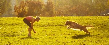 A dog runs to its owner at the park