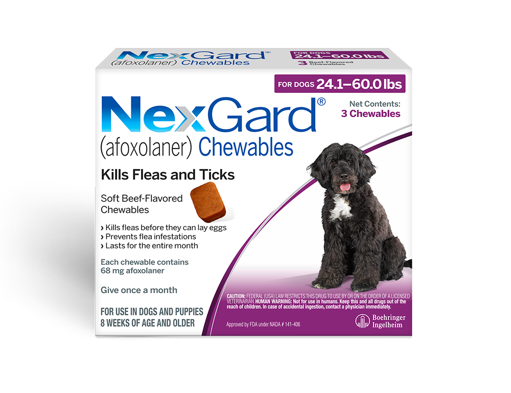 NG Chew 3 Pack for Medium Dog