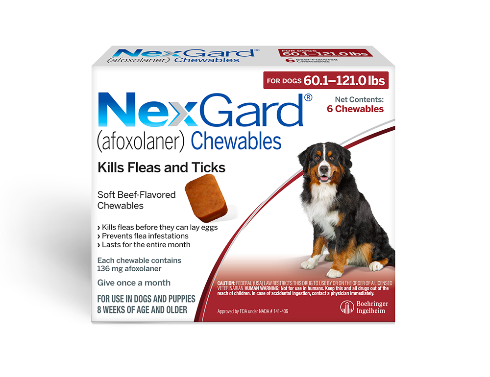 NG Chew 6 Pack for Large Dog