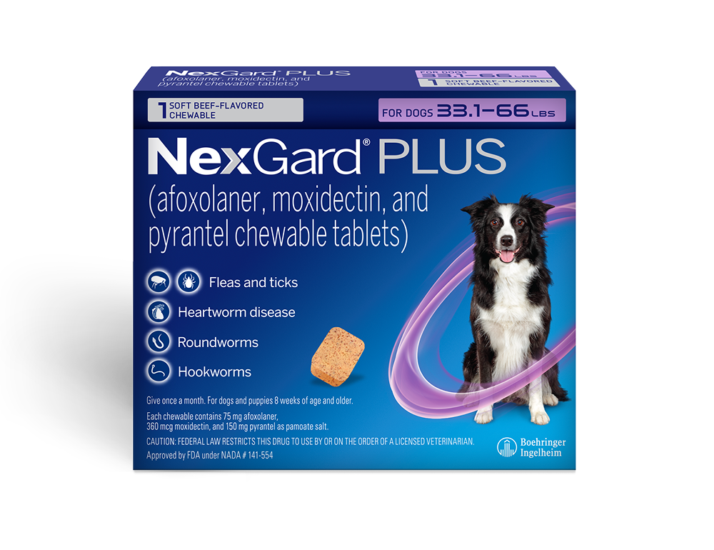 NG Plus 1 Pack for Large Dogs