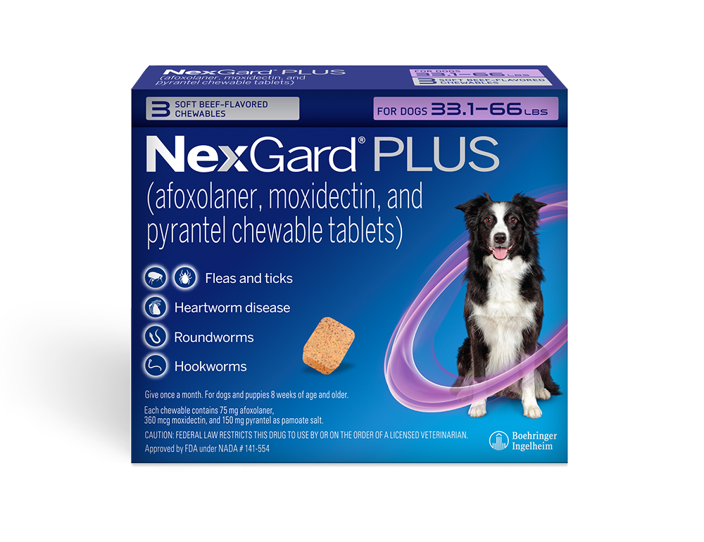 NG Plus 3 Pack for Large Dogs
