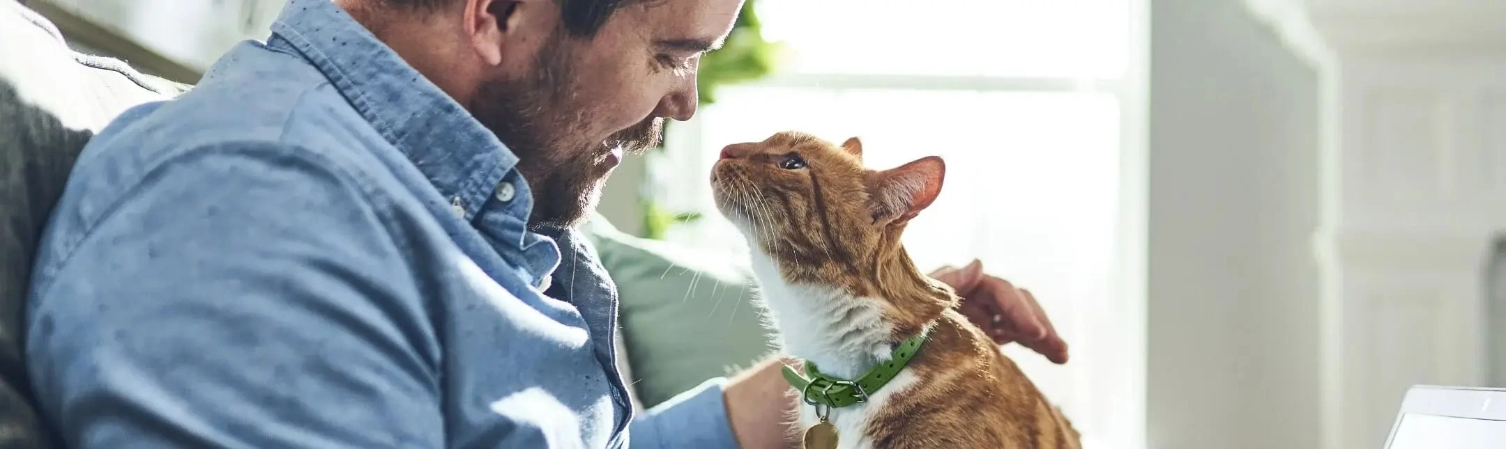 cat fleas - man with cat