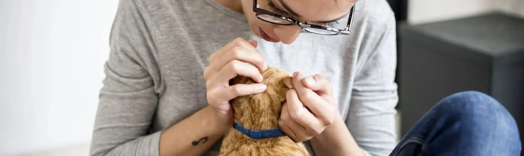 Woman Scratching Cat