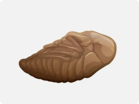flea pupae illustration