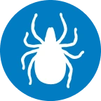 Ticks