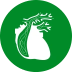 Heartworm disease