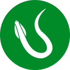 Roundworms