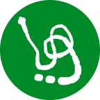 Tapeworms