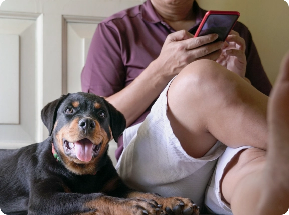 dog sitting next to man on a phone