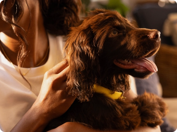 close up of woman holding a puppy