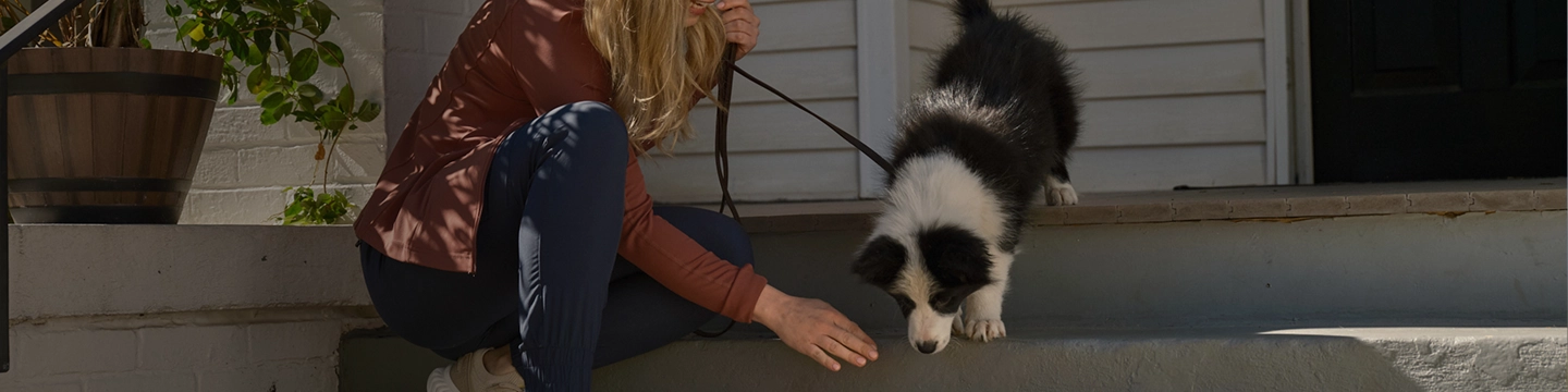 puppy with owner on the front porch