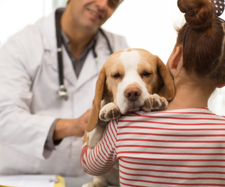 woman with her dog at the vet