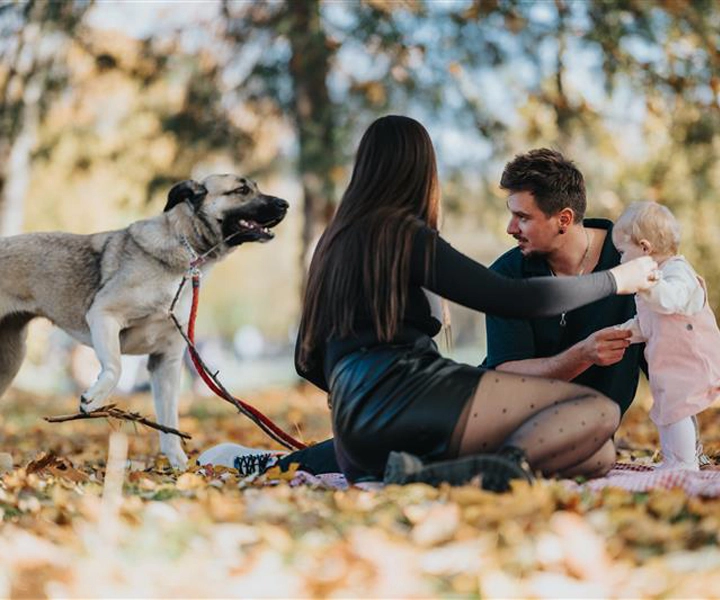 family with baby in the park with their dog