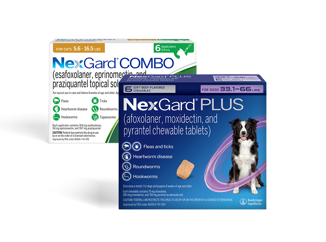 Nexgard Combo and Plus pack shot for the review section