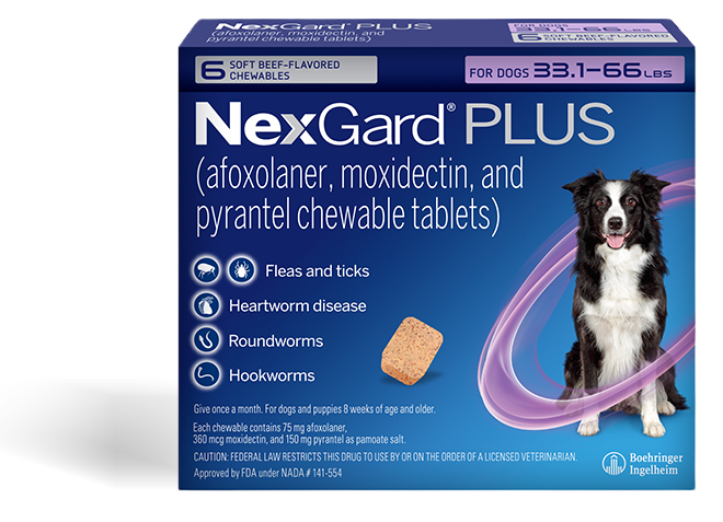 Nexgard plus packshot for the review section