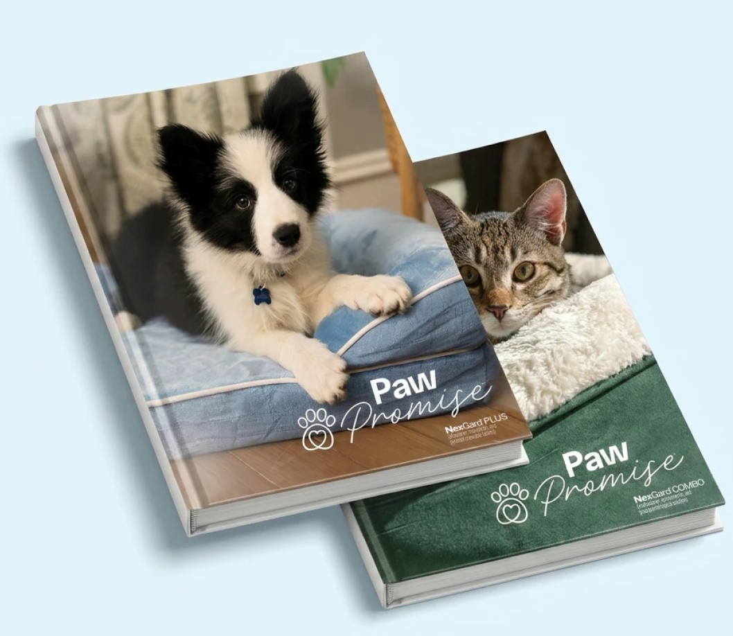 Photo book
