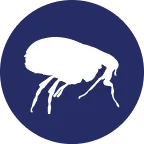 Fleas icon
