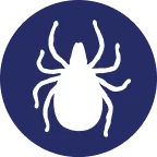 Ticks icon