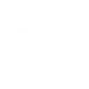 Roundworm