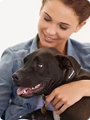 Dog being held by owner