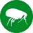 Fleas