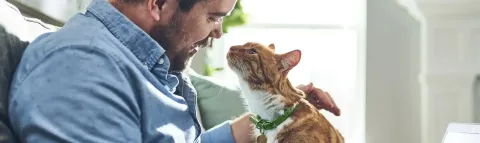 cat fleas - man with cat