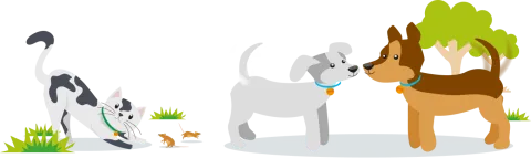 cat and dogs illustration