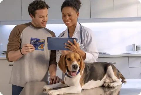 Customer_and_vet with Beagle