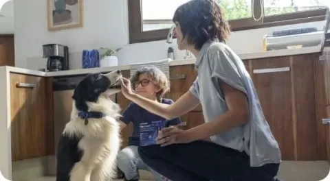 fleas - woman giving nexgard plus to dog