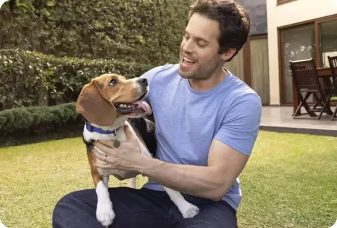 Pet owner and beagle in garden