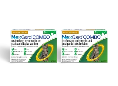 NGCOMBO Double pack