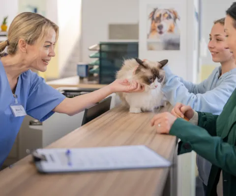 cat and owner with the vet at reception
