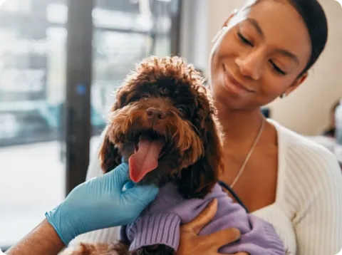 woman holding puppy while vet examines its mouth