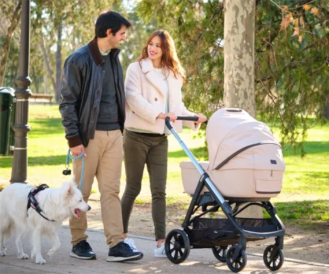 couple with their baby in a stroller walking their dog