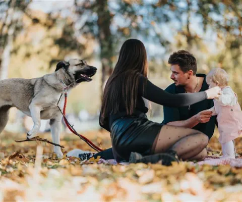family with baby in the park with their dog