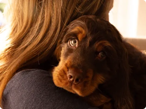 woman holding puppy over her shoulder