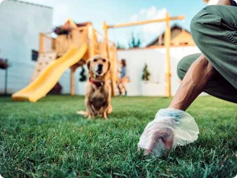 person cleaning up after a dog