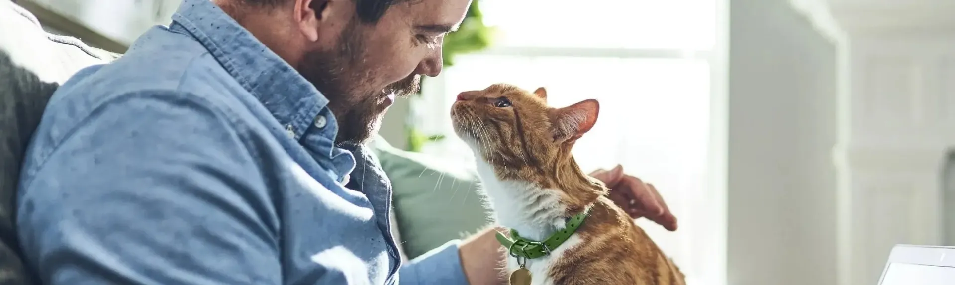 cat fleas - man with cat