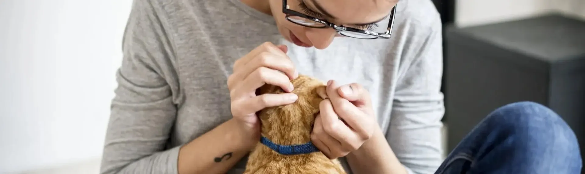 Woman Scratching Cat