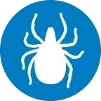 Ticks