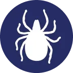 Ticks