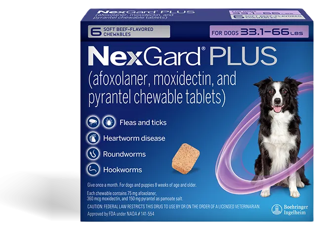 Nexgard plus packshot for the review section